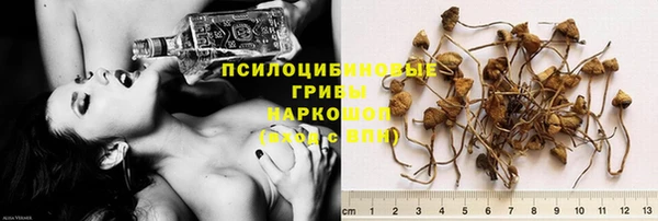 jwh Аркадак