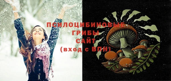 меф Арсеньев