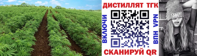 где купить наркоту  Жуковка  ТГК жижа 