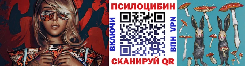 Галлюциногенные грибы MAGIC MUSHROOMS  Жуковка 